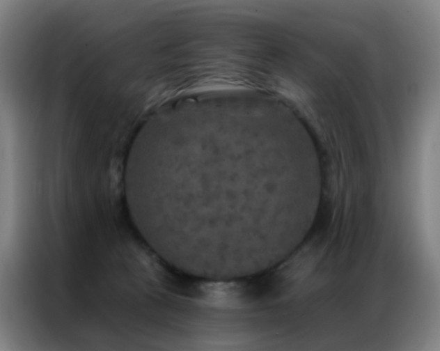 X0000087340273200704201150