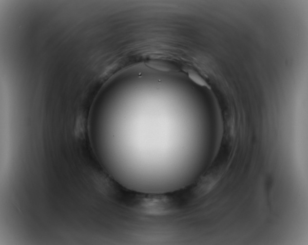 X0000087340274200704201151