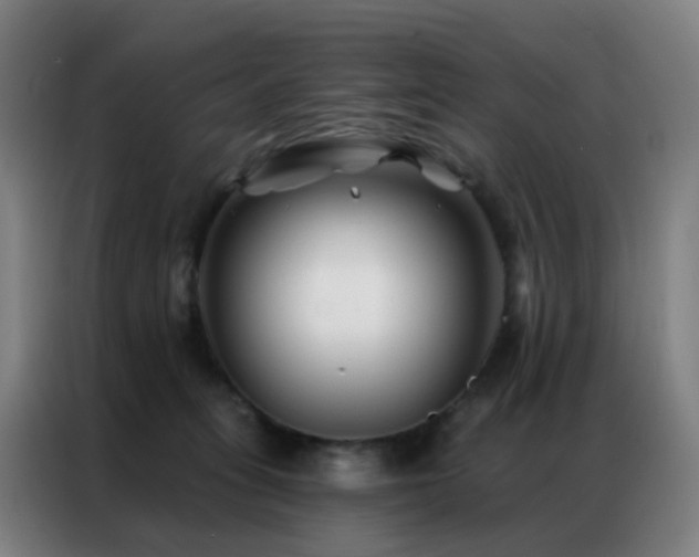 X0000087340275200704201151