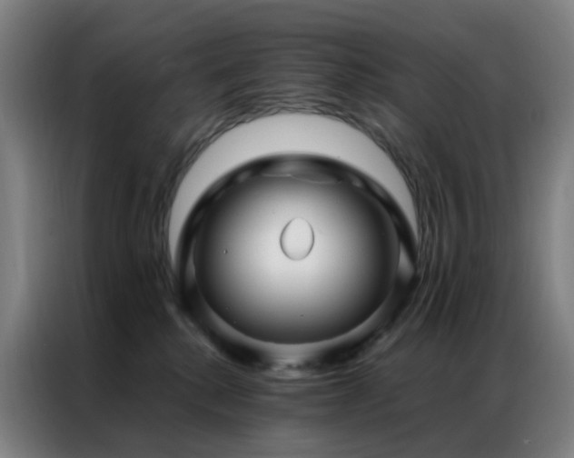 X0000087340280200704201151