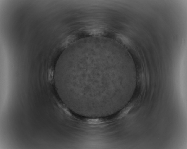 X0000087340281200704201151