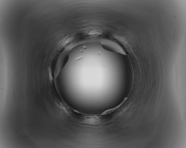 X0000087340288200704201151