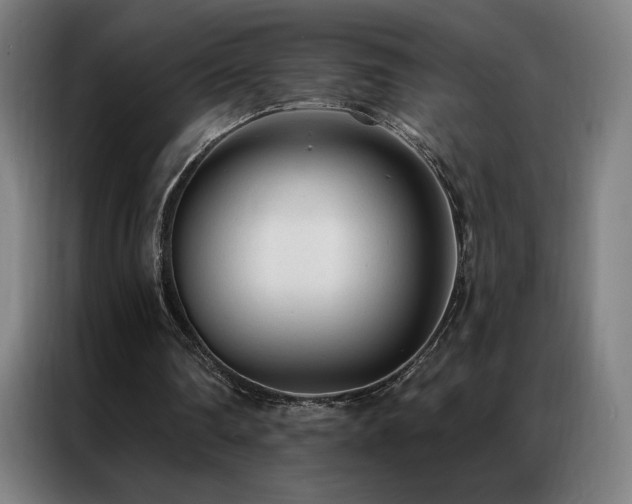 X0000087340290200704201150