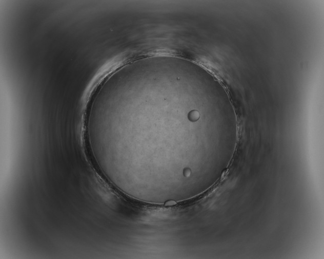 X0000087340293200704201150