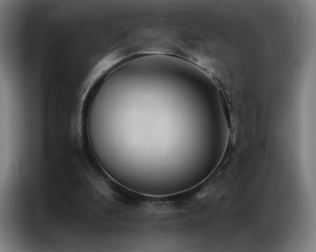 X0000087340296200704201150