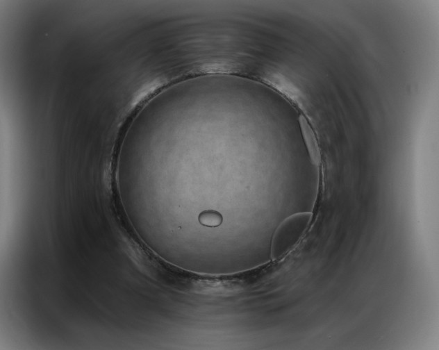 X0000087340297200704201150