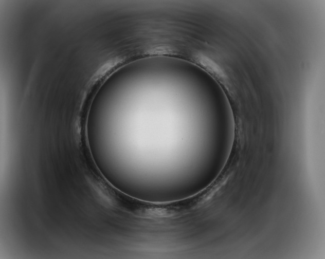 X0000087340298200704201150
