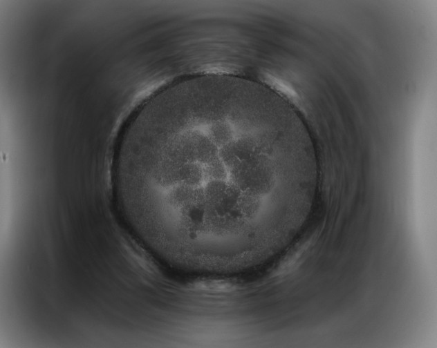 X0000087340299200704201150