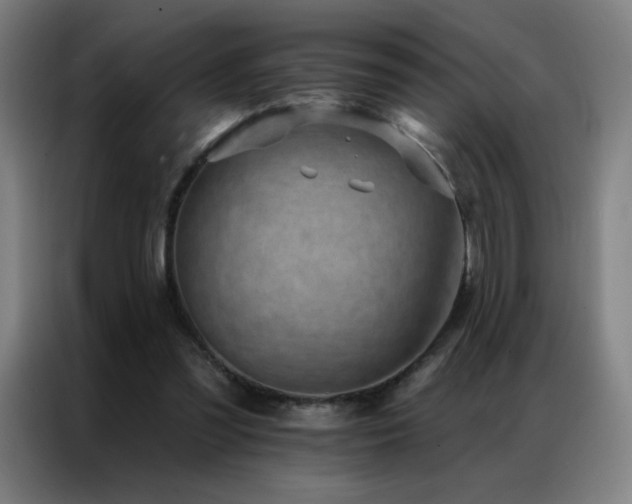 X0000087340301200704201150