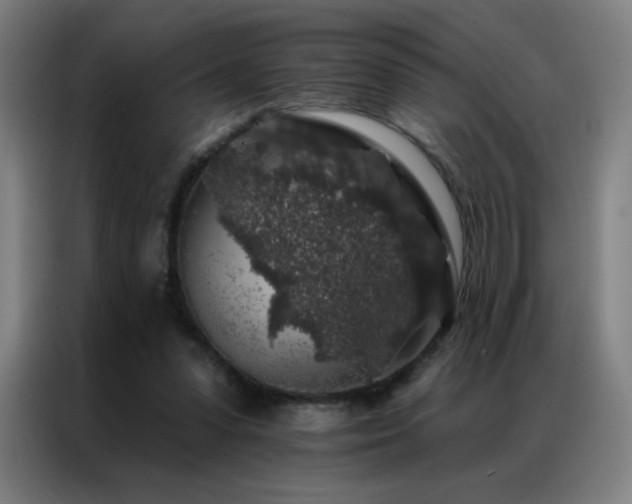 X0000087340303200704201150