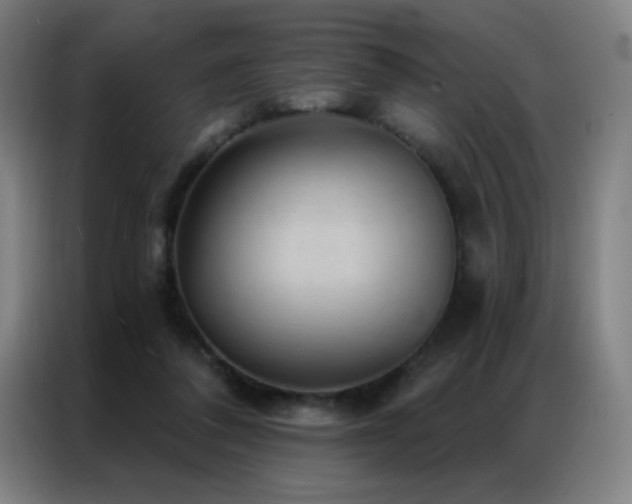 X0000087340308200704201150