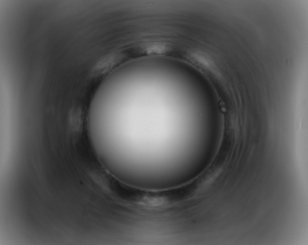 X0000087340311200704201150