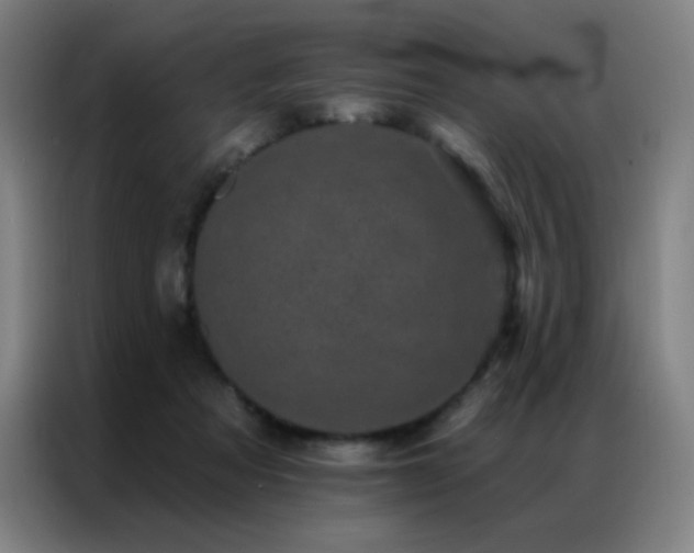 X0000087340313200704201150