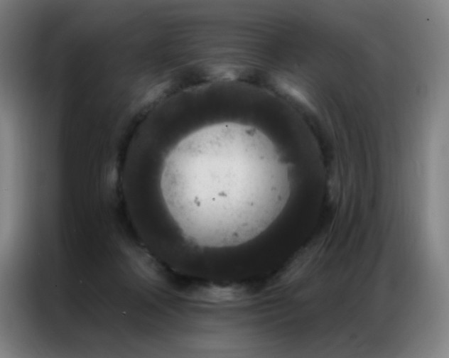X0000087340314200704201150