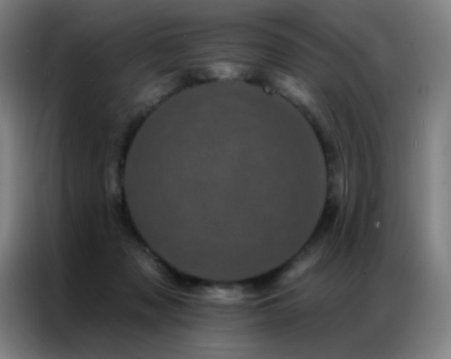 X0000087340317200704201150