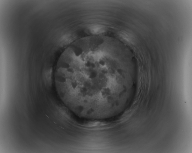 X0000087340319200704201150