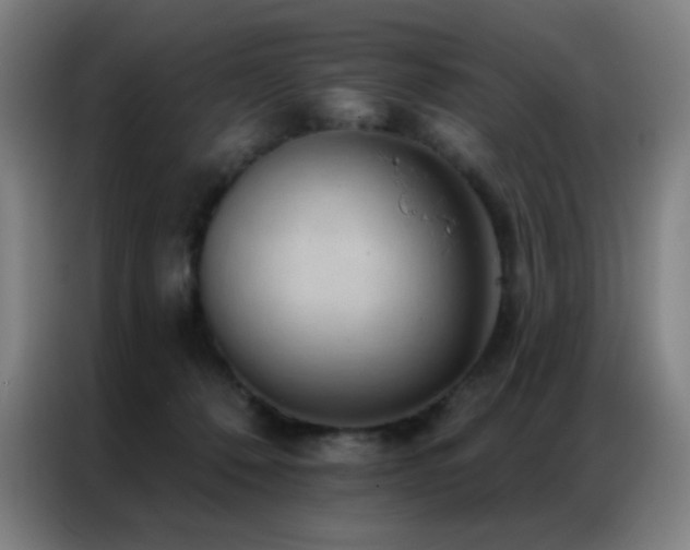 X0000087340320200704201150