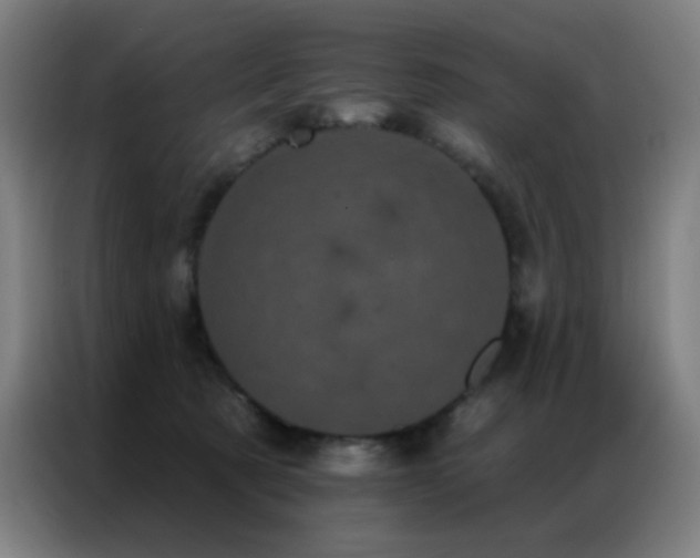 X0000087340321200704201150