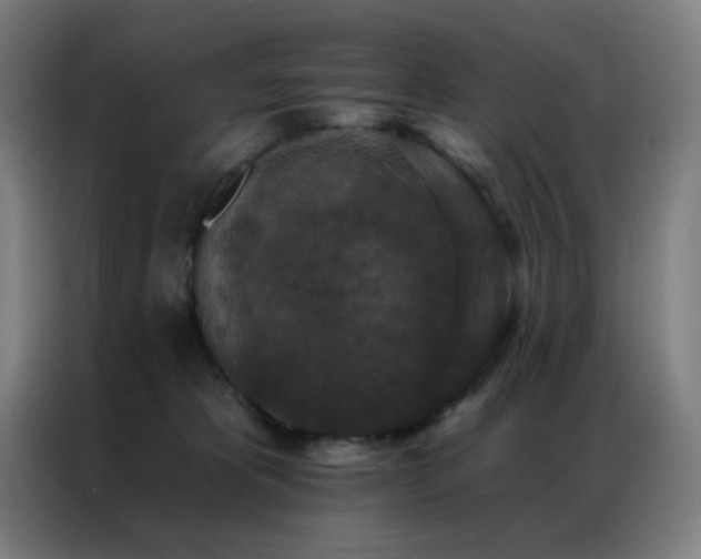 X0000087340325200704201150