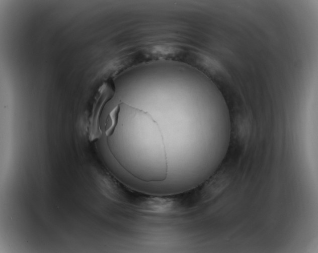 X0000087340328200704201150