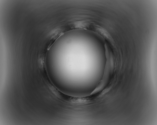 X0000087340329200704201150