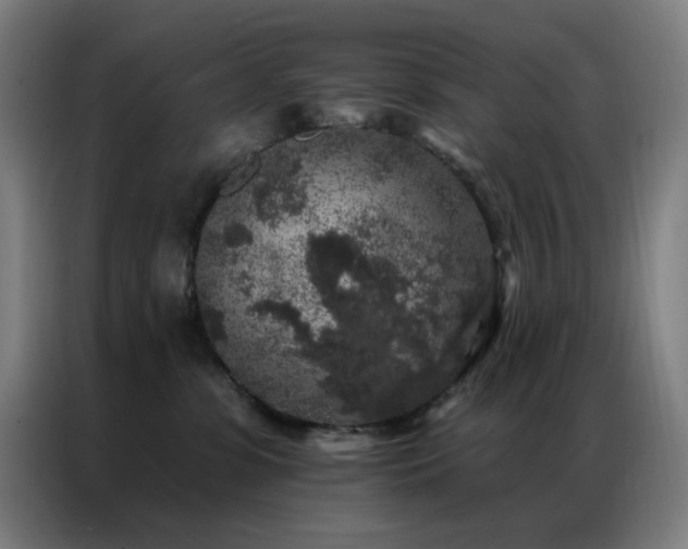 X0000087340331200704201150