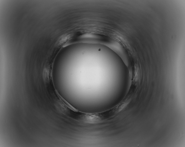 X0000087340333200704201150
