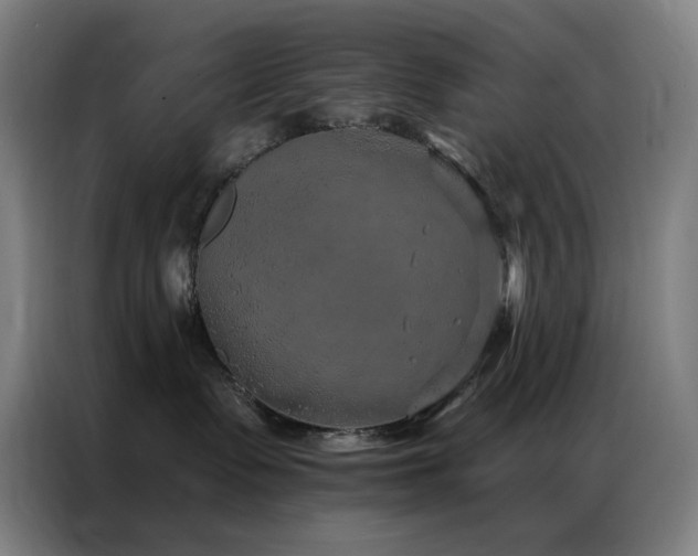 X0000087340335200704201150