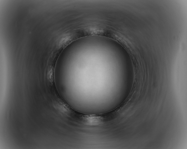X0000087340336200704201150