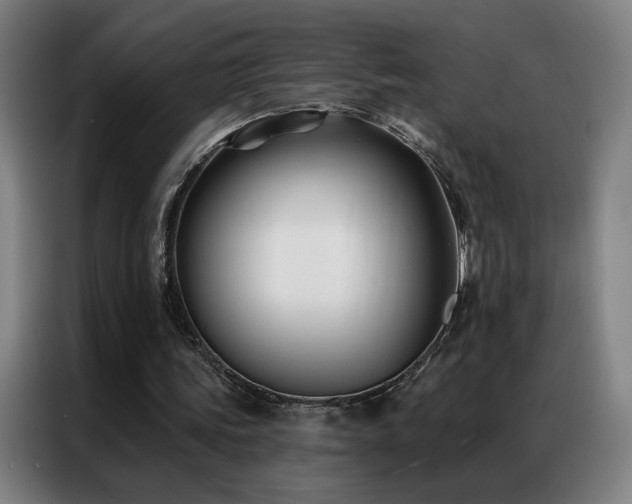 X0000087340339200704201149