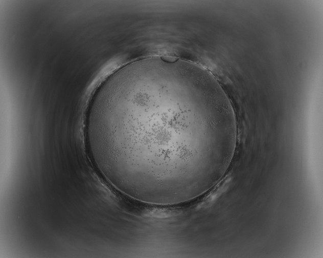 X0000087340341200704201149
