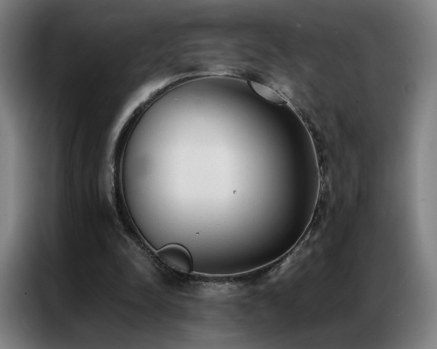 X0000087340342200704201149