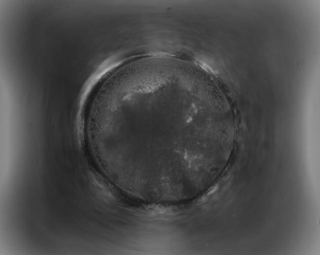 X0000087340343200704201149