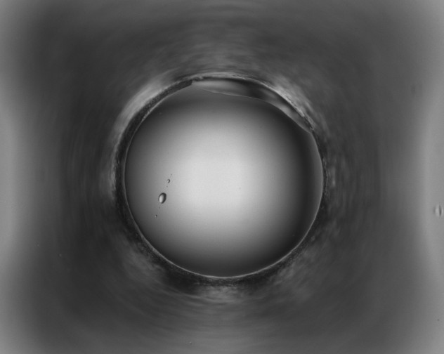 X0000087340344200704201149