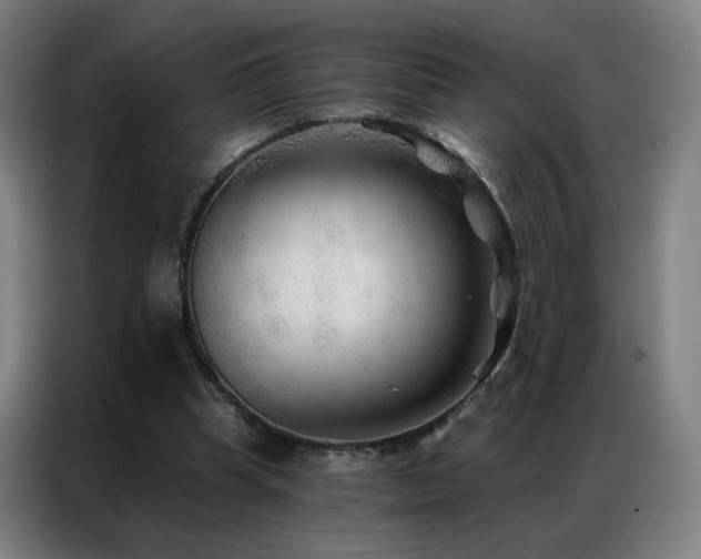 X0000087340345200704201149