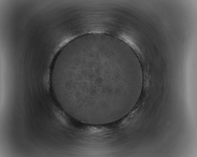 X0000087340346200704201149