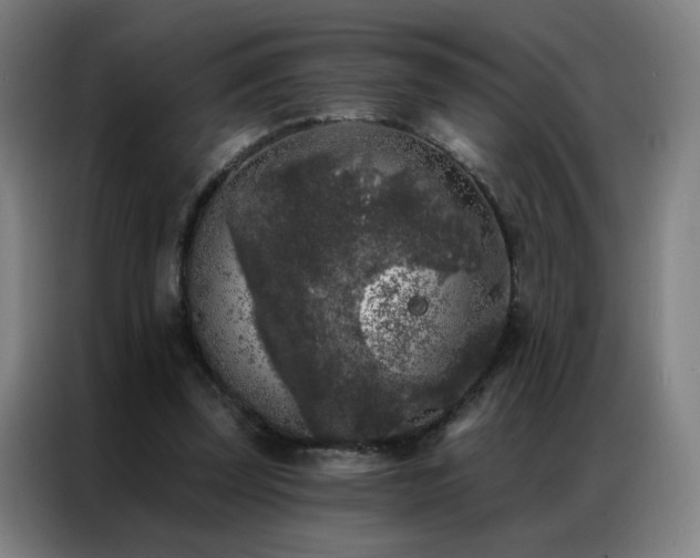 X0000087340347200704201149