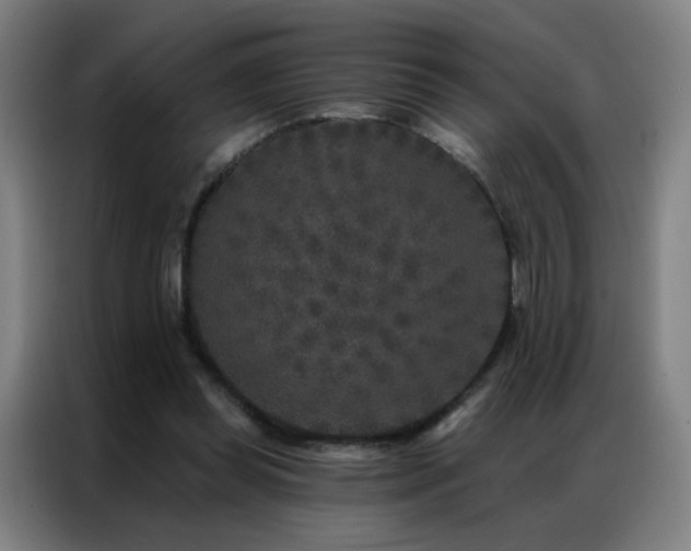 X0000087340349200704201149