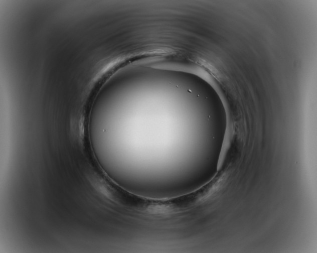 X0000087340350200704201149