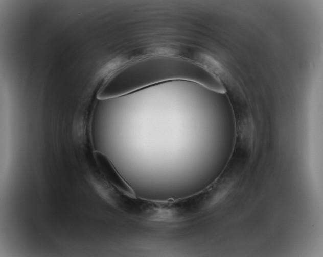 X0000087340352200704201149