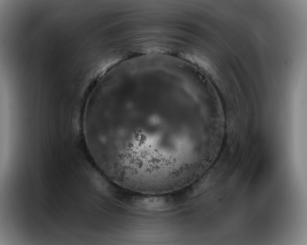 X0000087340353200704201149