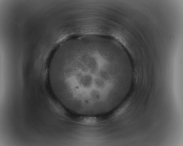 X0000087340355200704201149