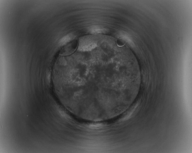 X0000087340357200704201149