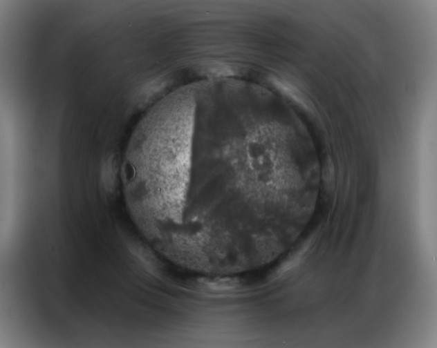 X0000087340359200704201149