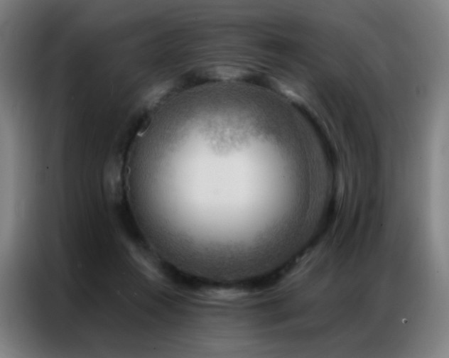 X0000087340360200704201149