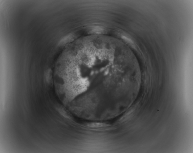 X0000087340361200704201149