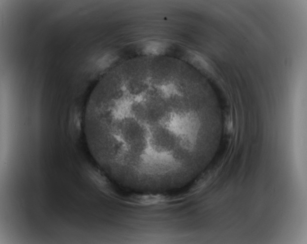 X0000087340363200704201149