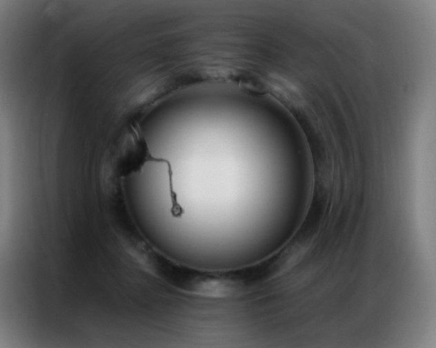 X0000087340364200704201149