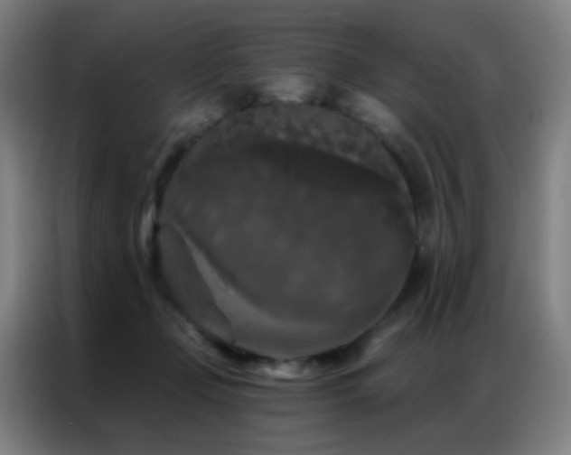 X0000087340365200704201149