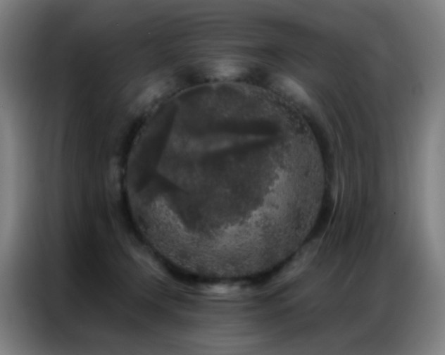 X0000087340366200704201149